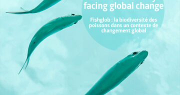 [FRB-Cesab] Fishglob : La biodiversité des poissons dans un contexte de changement global