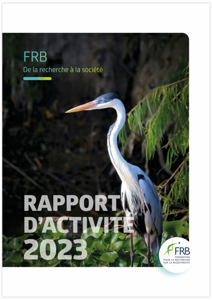 Rapports d’activité de la FRB