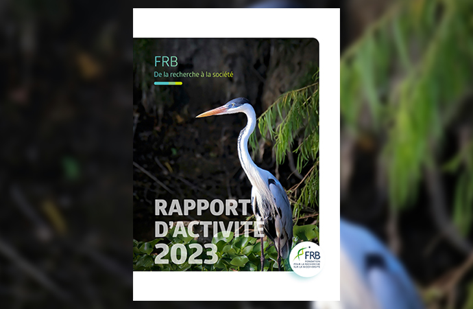 Rapports d’activité de la FRB