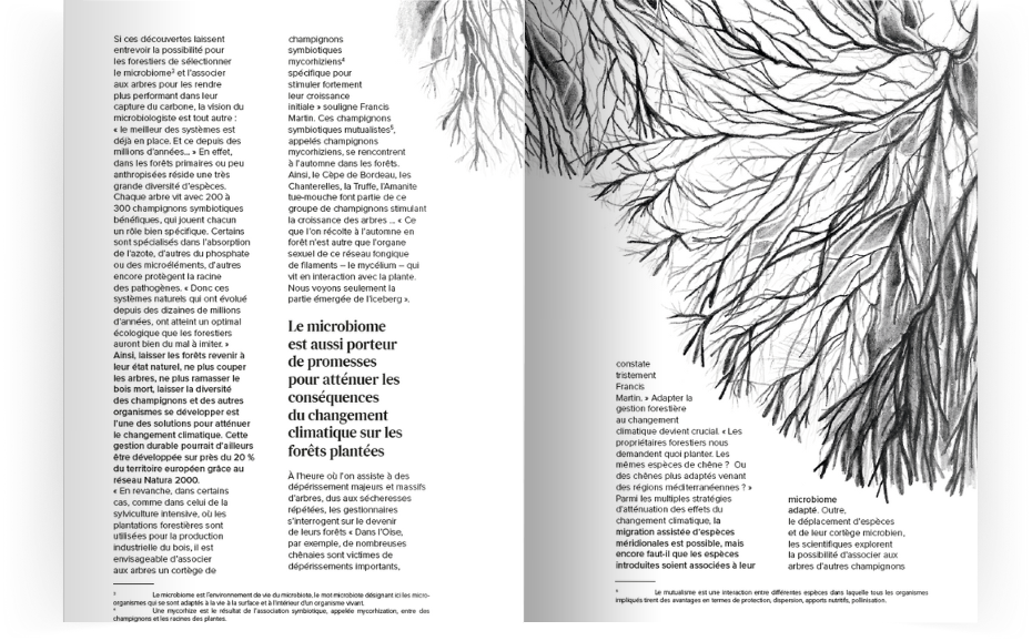 Biodiversité ! #1 double page