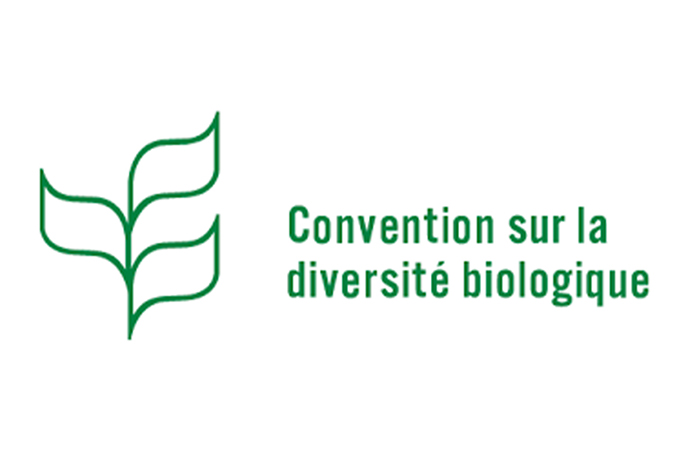 [Biodiversité, une coordination européenne et internationale] (Re)découvrez la CDB