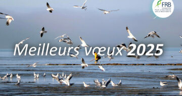 [Vœux 2025] Crises environnementales : une pour toutes et toutes pour une !