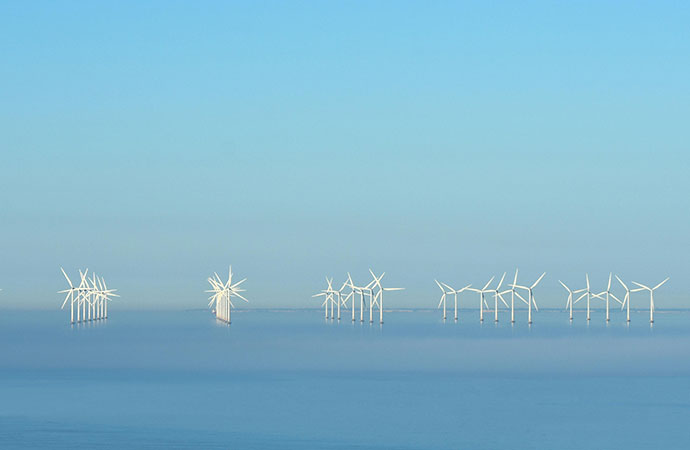 Impacts des installations éoliennes en mer sur la biodiversité et recommandations pour l’évaluation des risques